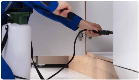 Pest Control Lyneham