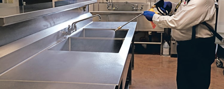 Restaurant Pest Control Lyneham